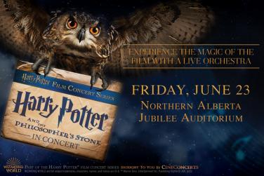 Harry Potter and the Philosopher&#039;s Stone™ 